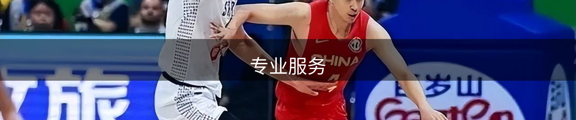 专业服务