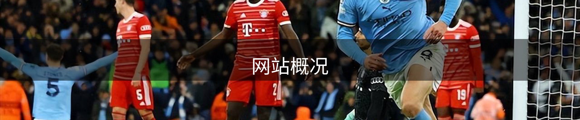 网站概况